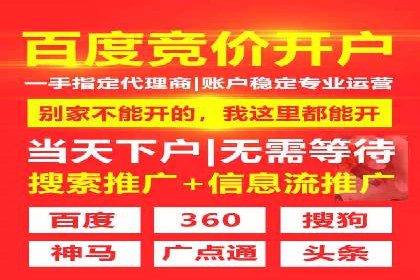 竞价广告的投放策略：XX企业成功案例解析